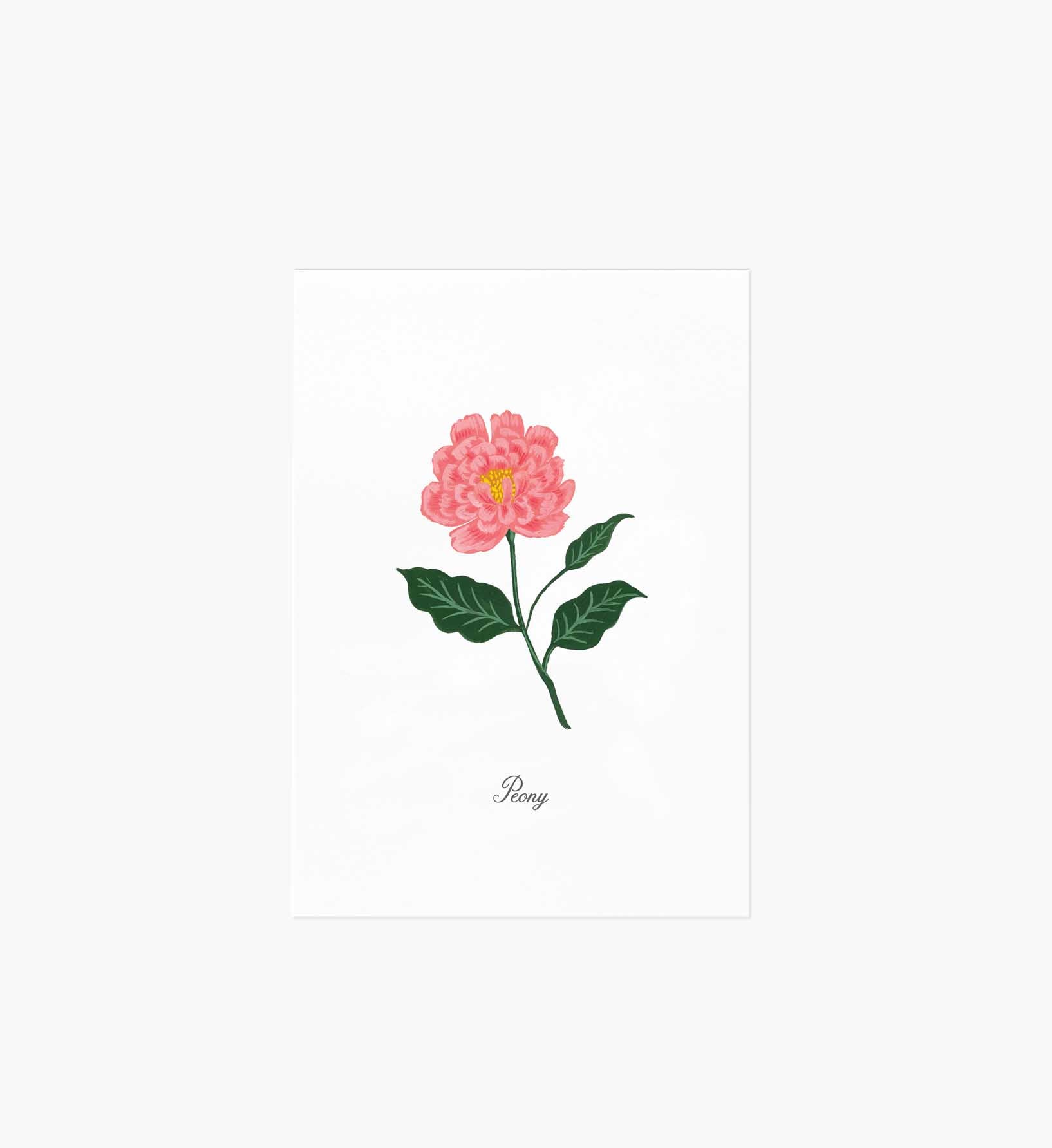 Birth Month Art Print - November