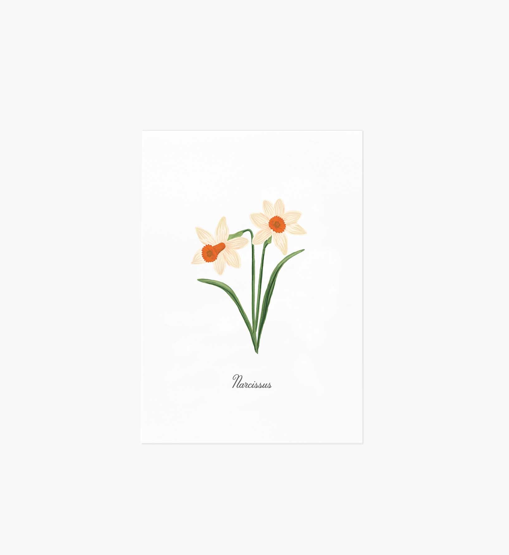 Birth Month Art Print - December