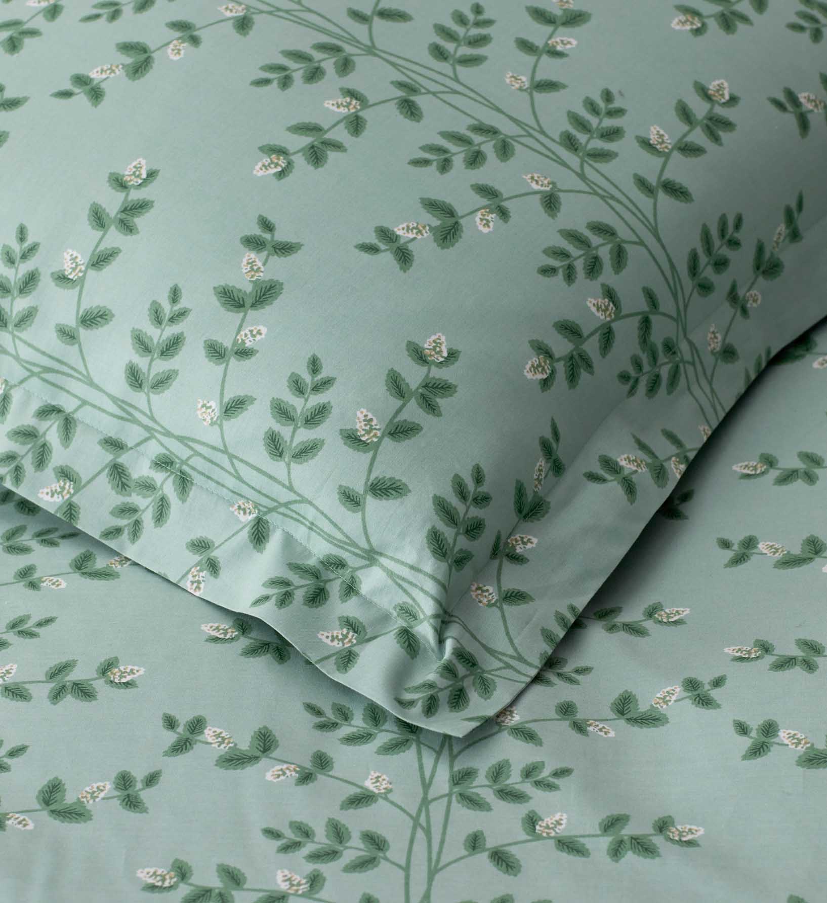 Percale Sham - Climbing Vines Sage