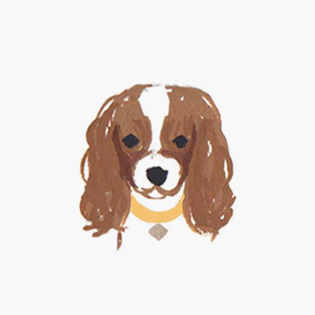 Pets Personalized Stationery - Dog 3