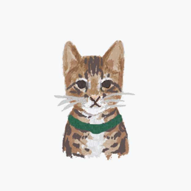 Pets Personalized Stationery - Cat 3