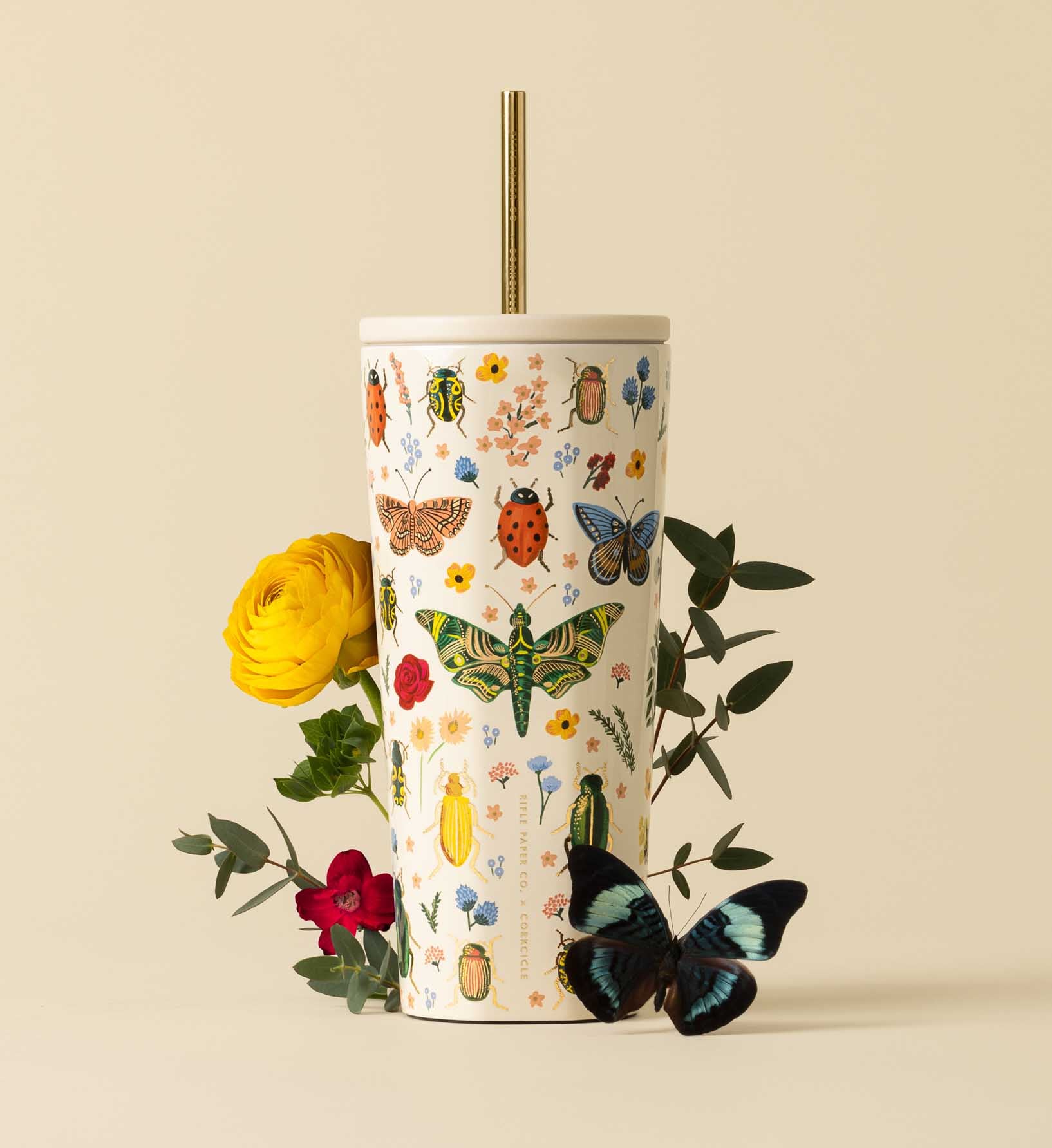 24 oz. Cold Cup - Curio