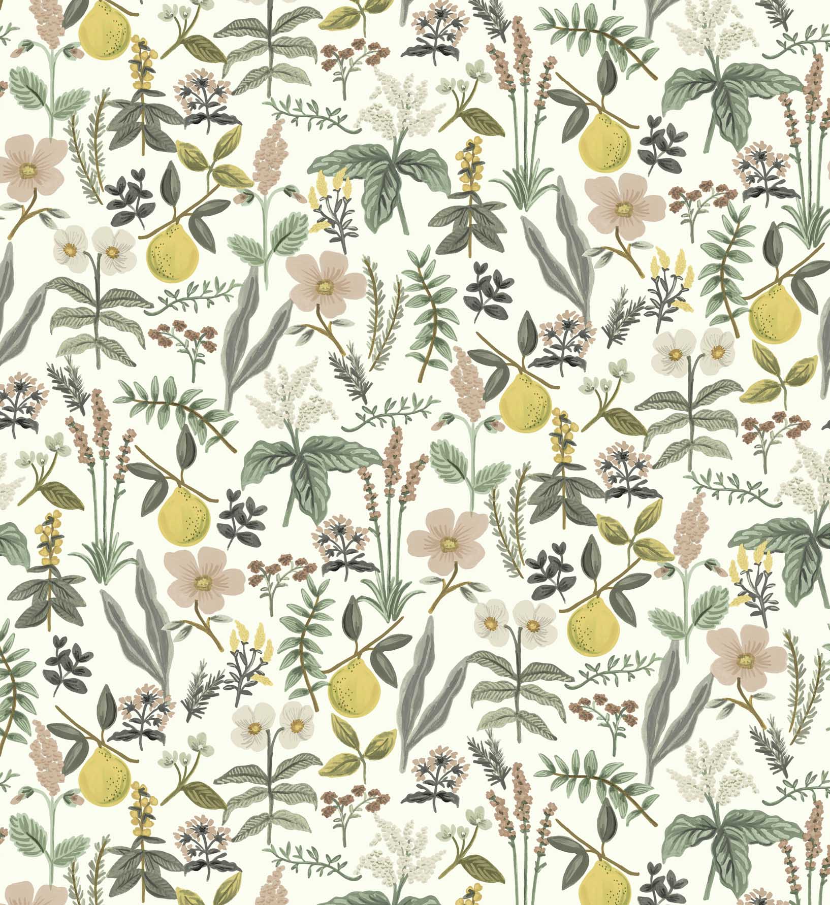 Herb Garden Peel & Stick Wallpaper - Cream