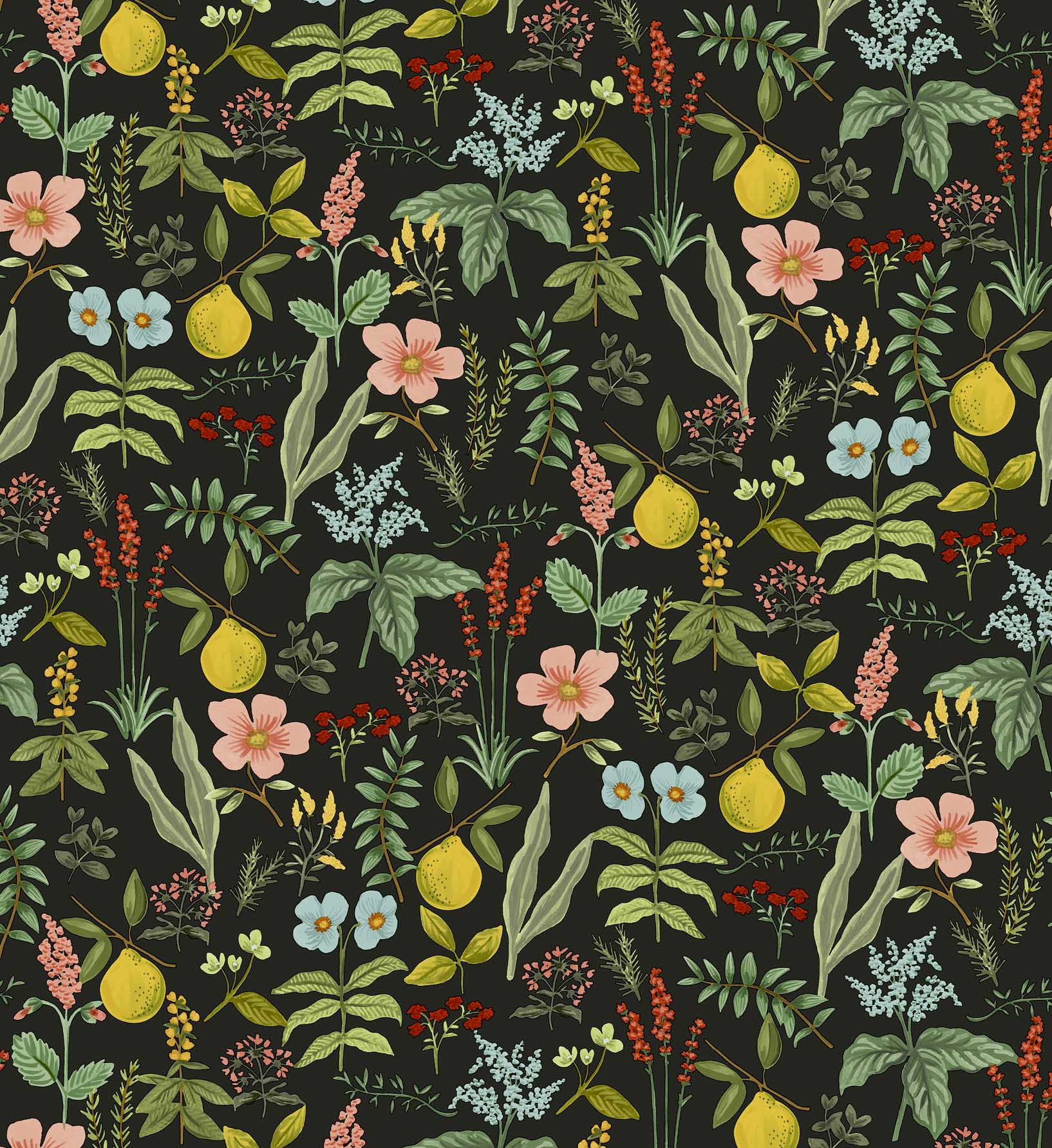 Herb Garden Peel & Stick Wallpaper Sample - Black